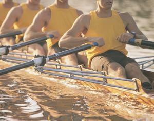Únete a nuestra Comunidad!